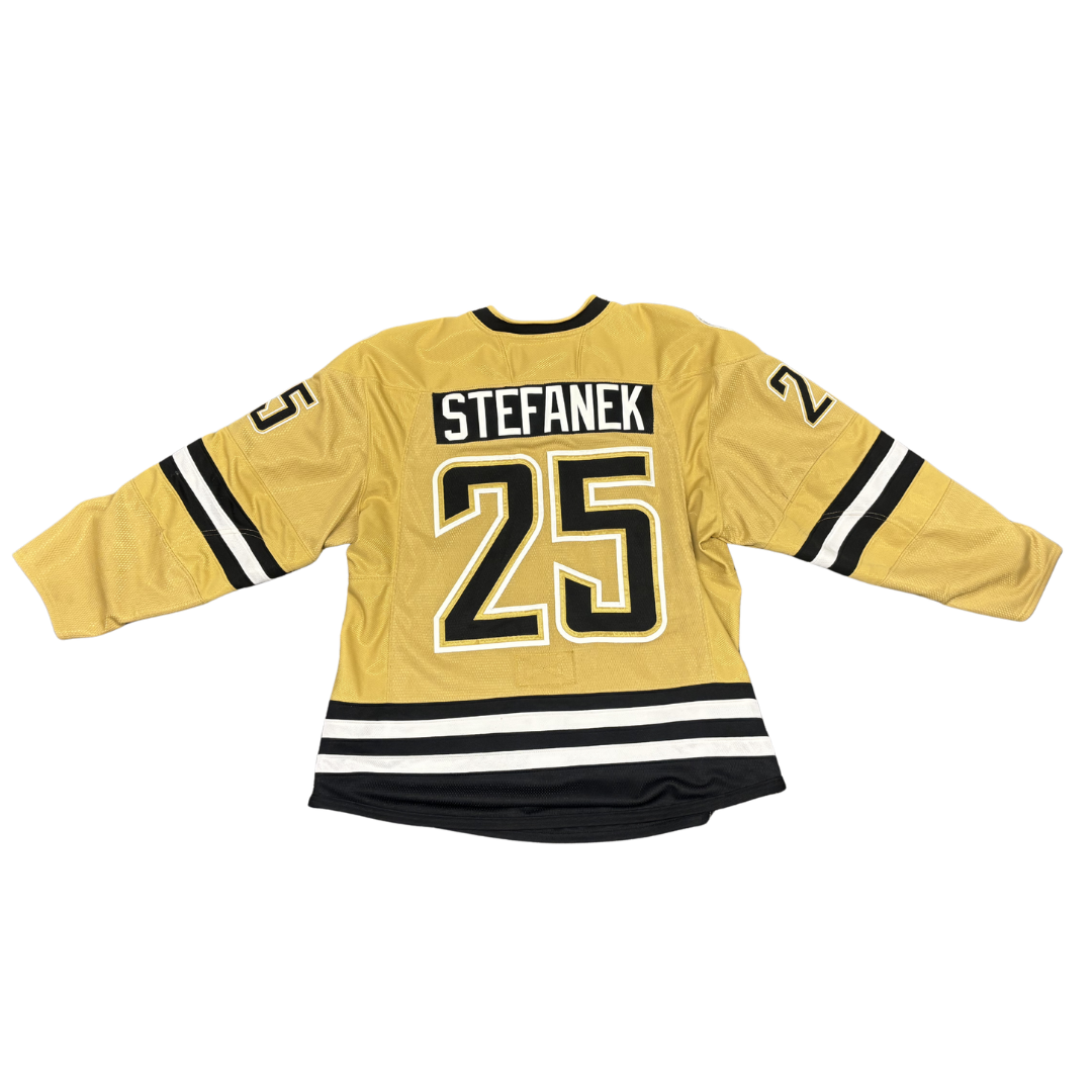 #25 Chase Stefanek Gold Jersey (24/25)